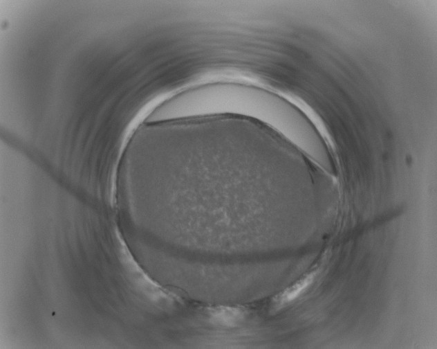 X0000080690815200612301448