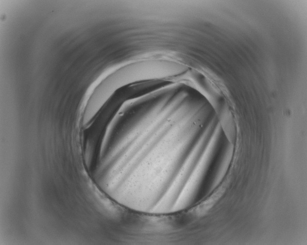 X0000080690816200612301448