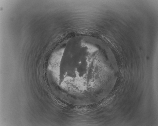 X0000080690817200612301447