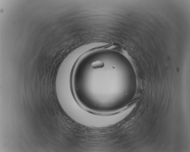 X0000080690818200612301447