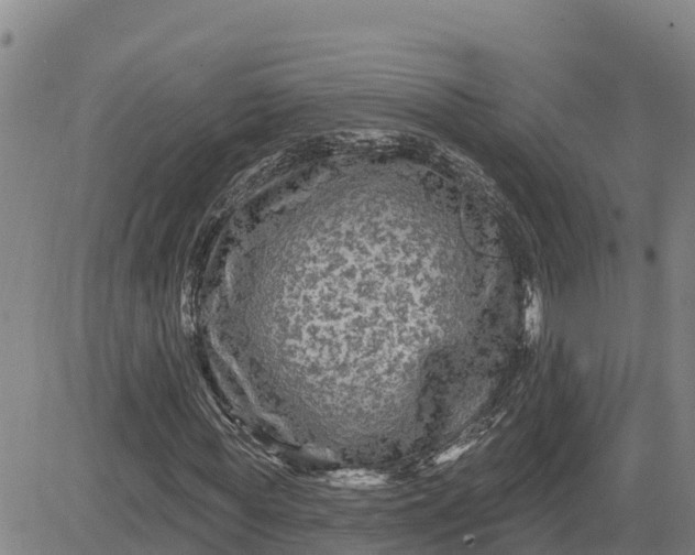 X0000080690819200612301447