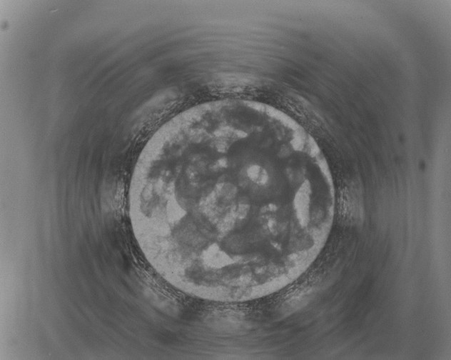 X0000080690820200612301447