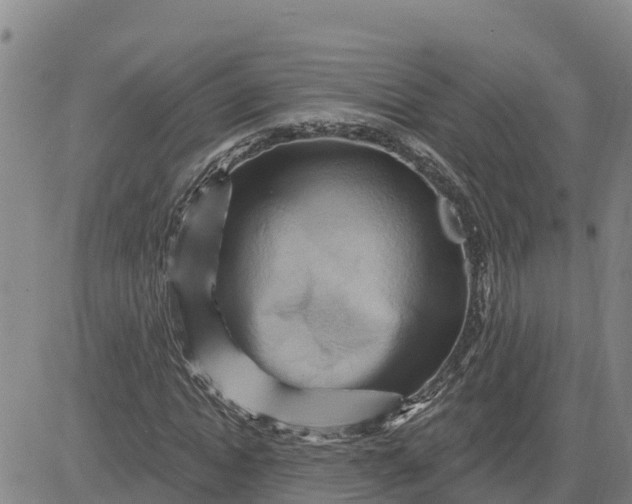 X0000080690822200612301447