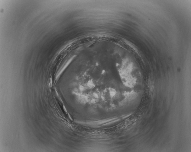 X0000080690823200612301447