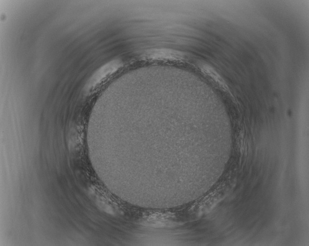 X0000080690824200612301447