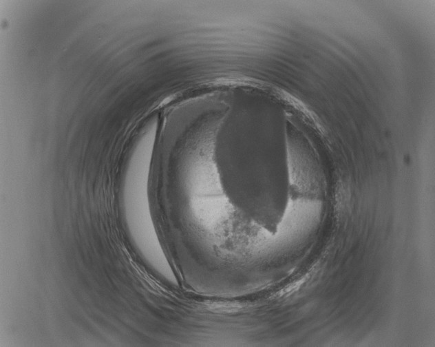 X0000080690825200612301447