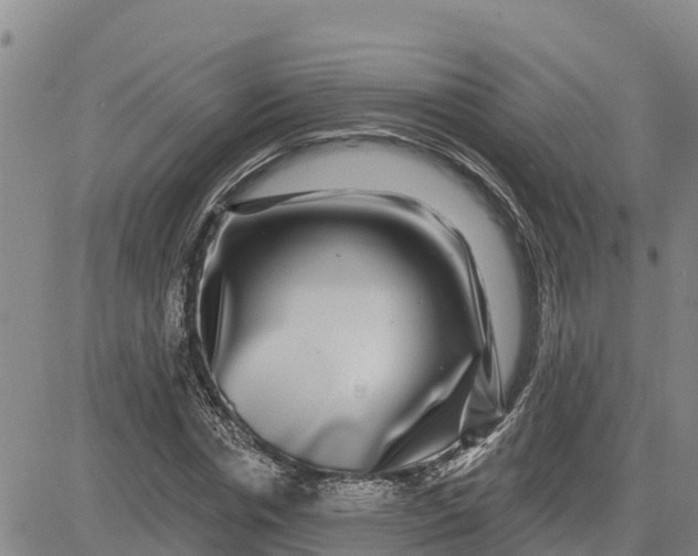 X0000080690826200612301447