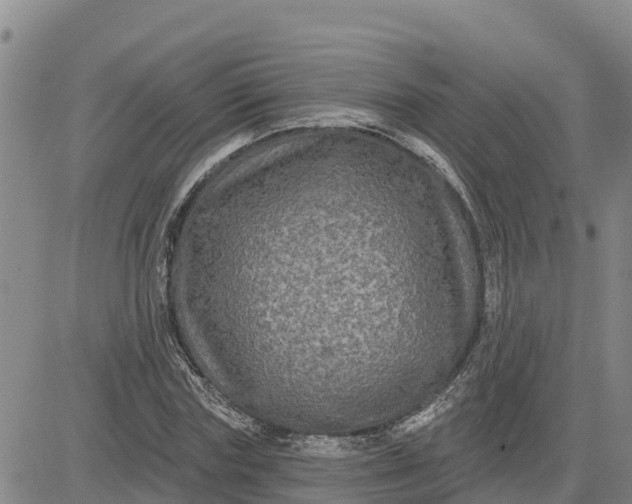 X0000080690827200612301447