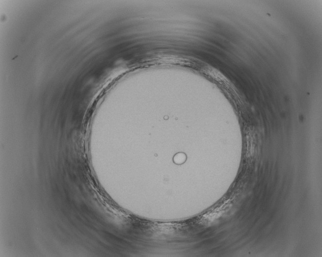 X0000080690828200612301447