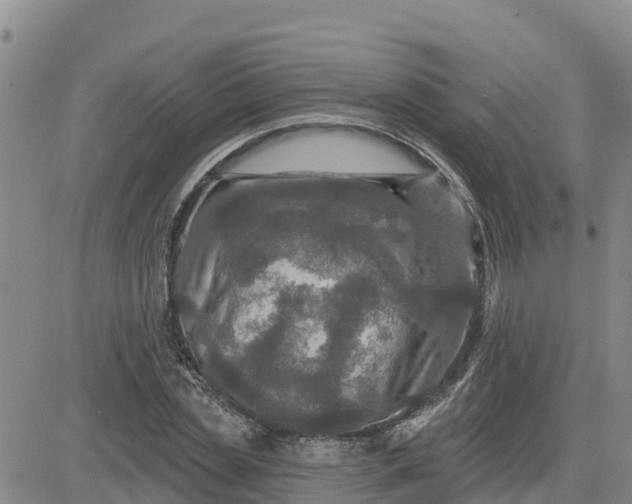 X0000080690829200612301447