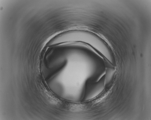 X0000080690830200612301447