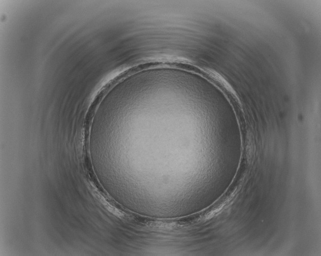 X0000080690831200612301447