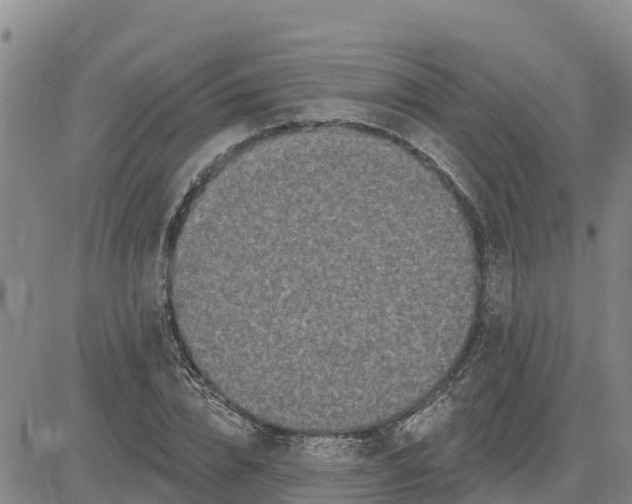 X0000080690832200612301447