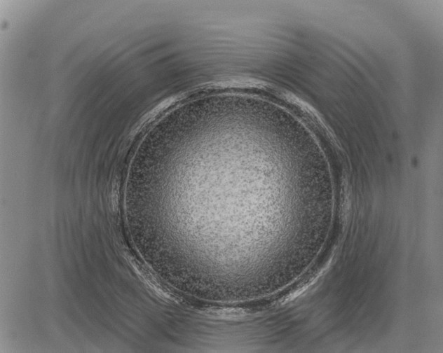 X0000080690833200612301447