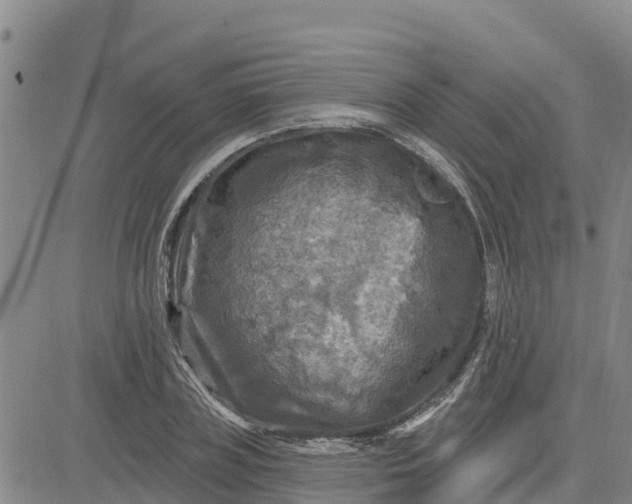 X0000080690835200612301447