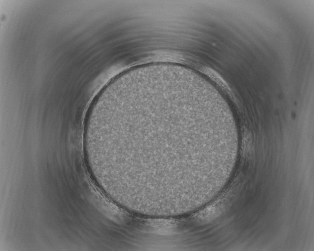 X0000080690836200612301447