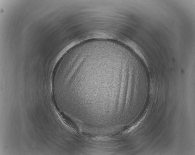 X0000080690837200612301447