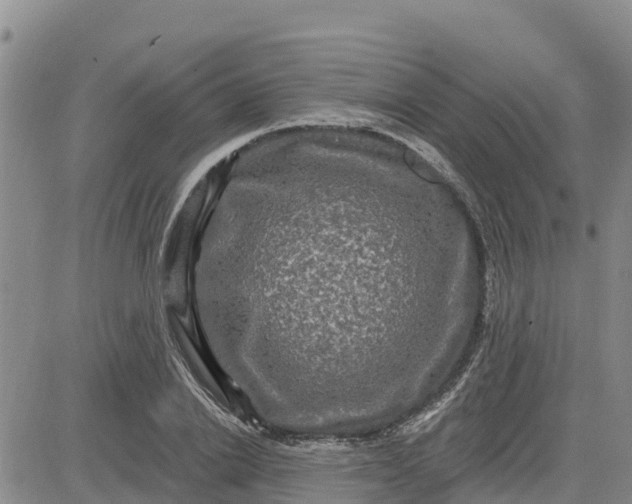 X0000080690838200612301447