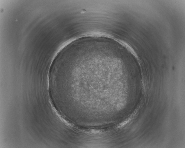 X0000080690839200612301447