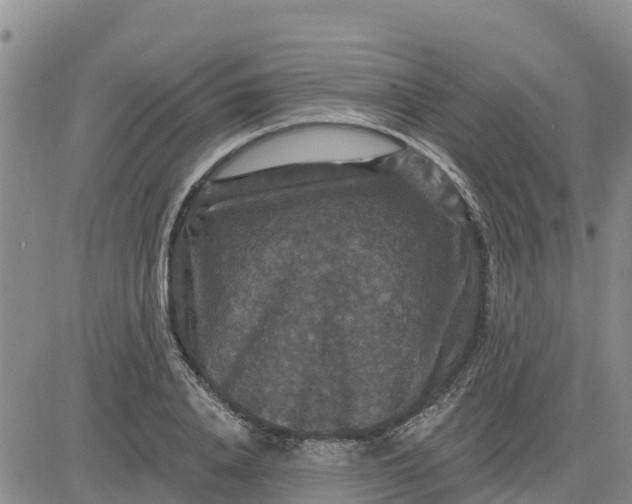 X0000080690840200612301447