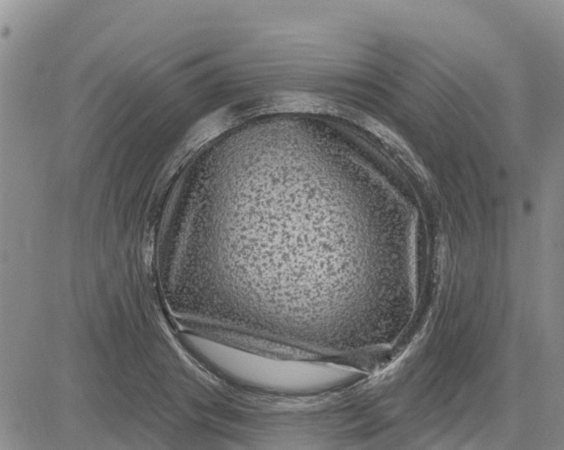 X0000080690841200612301447