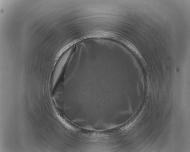 X0000080690842200612301447