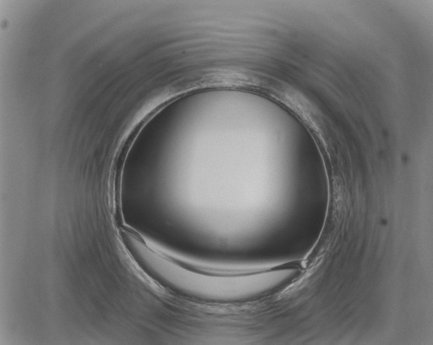 X0000080690843200612301447