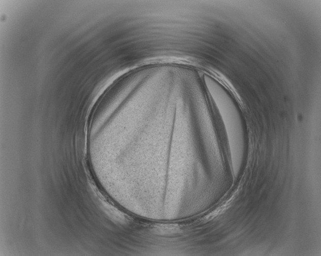 X0000080690844200612301447