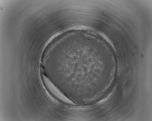 X0000080690845200612301447