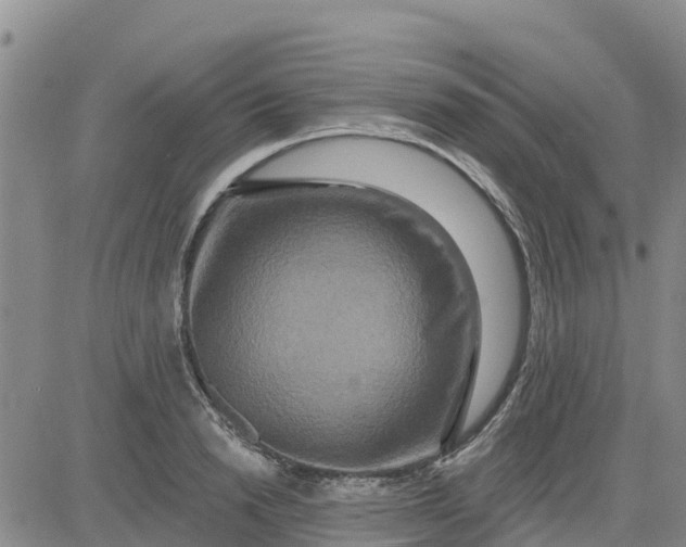 X0000080690846200612301447