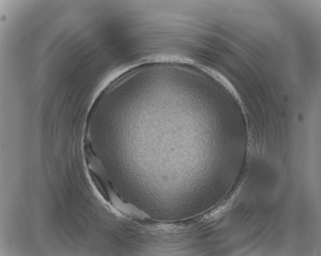 X0000080690847200612301447