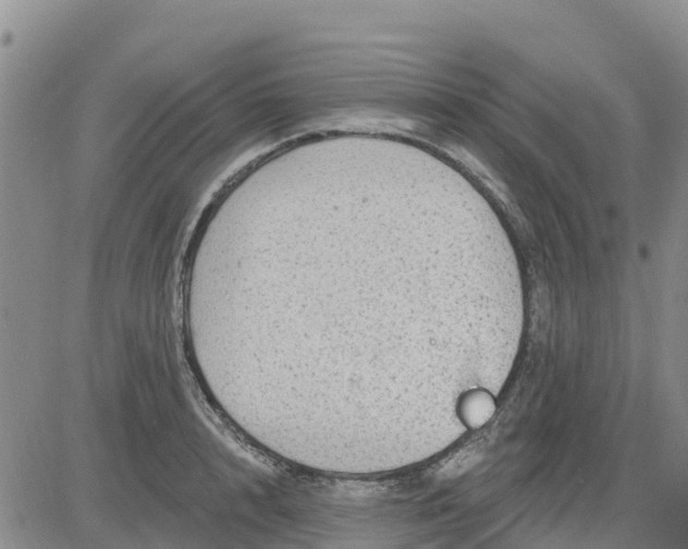 X0000080690848200612301447