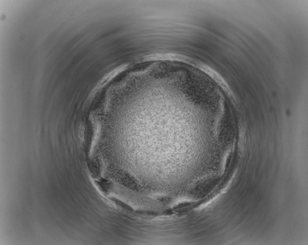 X0000080690849200612301447