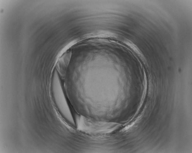 X0000080690850200612301447