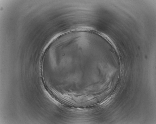 X0000080690851200612301447