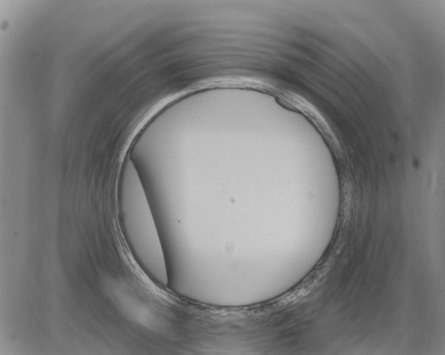 X0000080690852200612301447