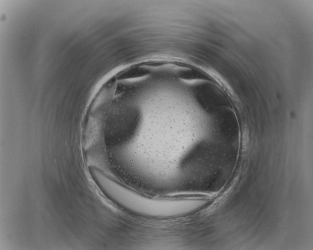 X0000080690854200612301448