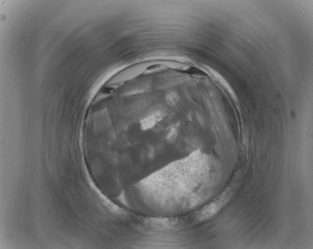 X0000080690855200612301448