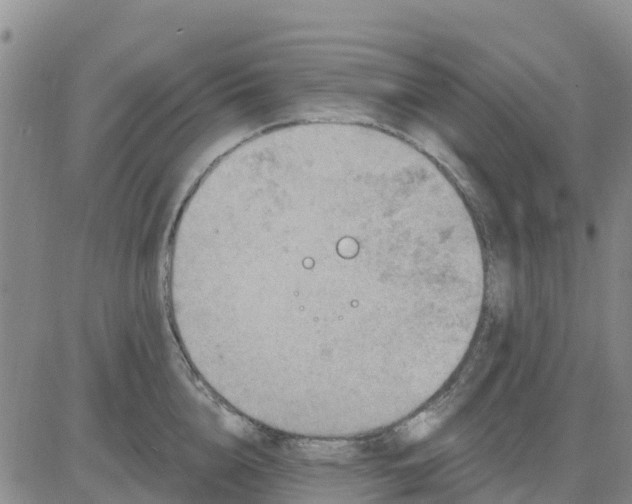 X0000080690856200612301448