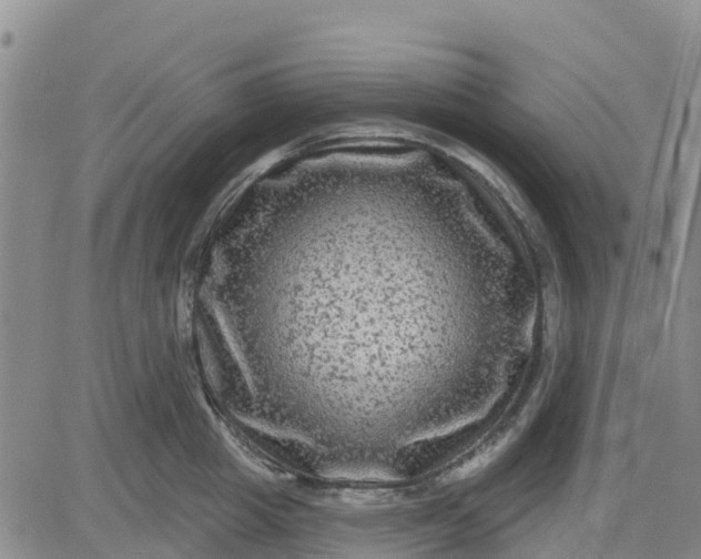 X0000080690857200612301448