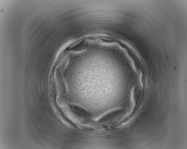 X0000080690858200612301448