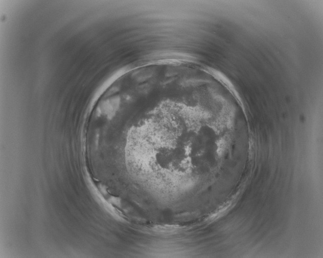 X0000080690859200612301448