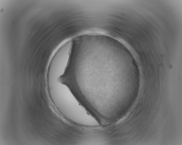 X0000080690864200612301448