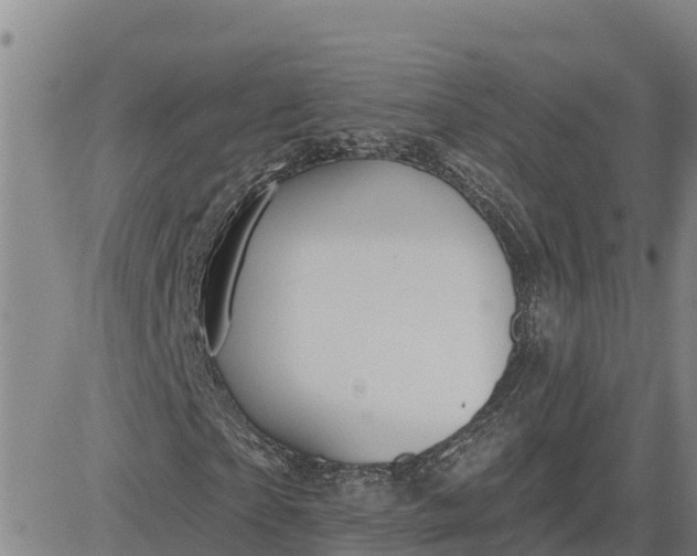 X0000080690865200612301447