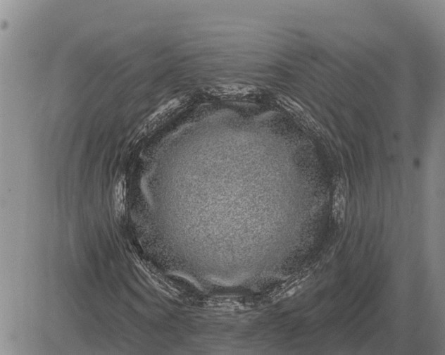 X0000080690866200612301447