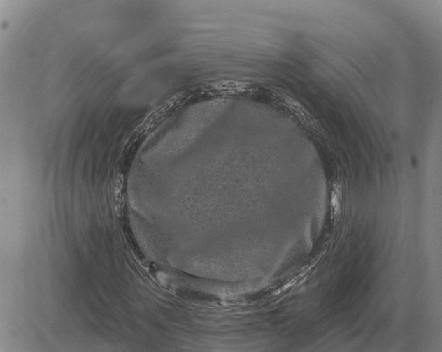 X0000080690867200612301447