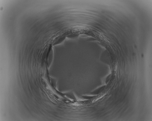 X0000080690868200612301447