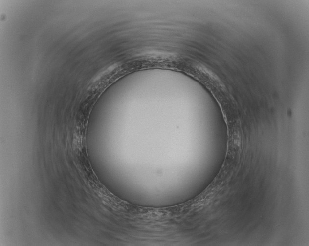 X0000080690869200612301447