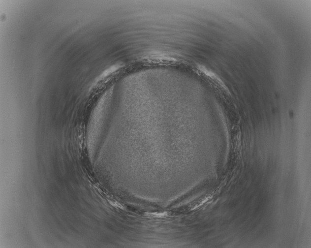 X0000080690870200612301447