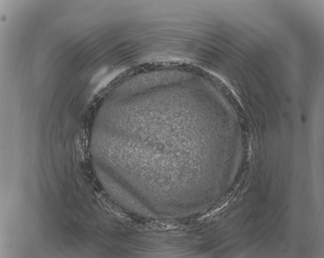 X0000080690871200612301447